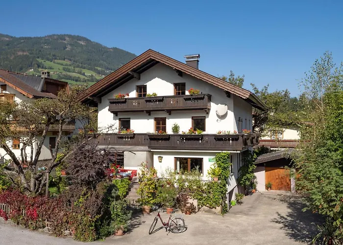 هاوس زابين براونيغر *