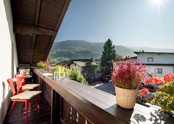 هاوس زابين براونيغر