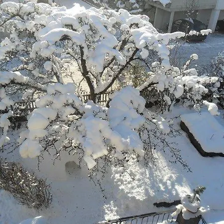 Haus Sabine Braunegger